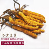 D41 Tibet Nagqu Cordyceps wholesale 2022 Qinghai Yushu Cordyceps 14 Flagship store