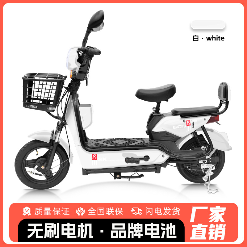 Bicicleta Eléctrica Golden Eagle para Comercio Exterior al por Mayor, Scooter Eléctrico para Adultos de Dos Plazas, Vehículo Eléctrico Ligero de Dos Ruedas con Batería de Larga Duración.