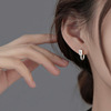 Small design earrings, silver 925 sample, light luxury style, 2023 collection
