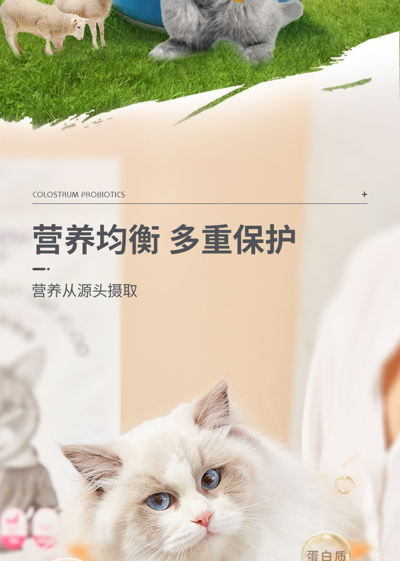 宠物配方羊奶粉营养均衡狗狗猫咪专用通用羊奶宠物营养补充剂批发详情4