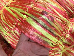 ���lˮ���߲˾W�۴�͸��W���̖�����־������K�W�۴��ֹ�����