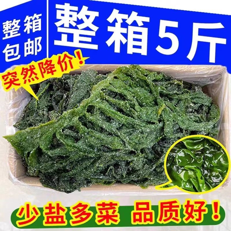 新鲜裙带菜嫩叶无盐半干货盐渍裙带叶5斤整箱海带苗非海白菜