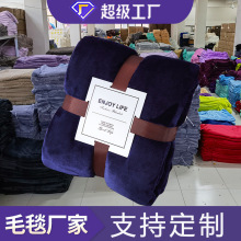 实力工厂加厚雪貂绒毯法兰绒毛毯珊瑚绒毯子跨境空调学生毯400克