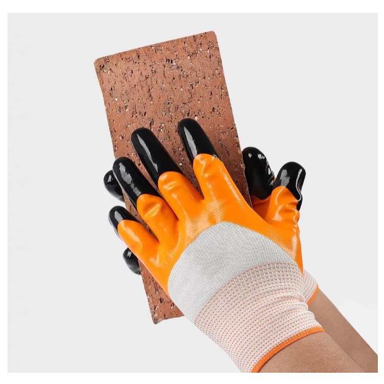 IMG_0877(20231127-231140)