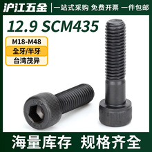 12.9级高强度杯头TUZ内六角螺丝批发加长螺钉M2M3M4M5M6M8M10M12