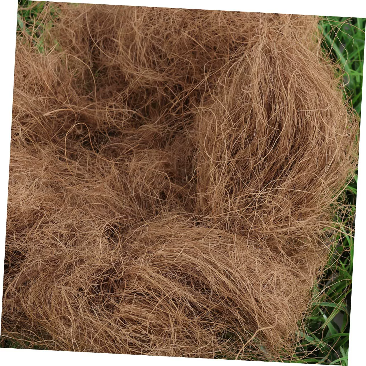 Коричневый кокосовый шелк кокосовый шелк