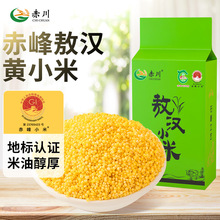 赤川敖汉黄小米1斤24年秋收新米赤峰产粗杂粮神谷小米支持代加工