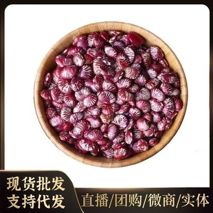 ������؛���R��ɢ�b�r���ԷN��ܿ���ʵ۶����I������s�Z���Ҝ�