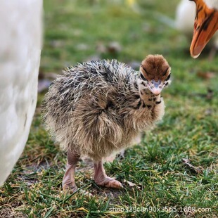 ��������r�B�������Bֳ�� ���l���|�����r�B����w �r�B���r��