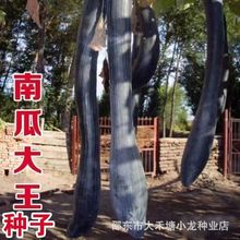 �Ϲϴ����N�ӳ������Ϻ����L�Ϲϸ߮a�߲��ļ�����ͥԺ�߲˷N��