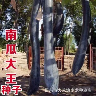 �Ϲϴ����N�ӳ������Ϻ����L�Ϲϸ߮a�߲��ļ�����ͥԺ�߲˷N��