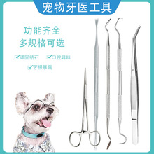 廠家寵物牙醫工具套裝雙頭不銹鋼探針鋤型潔齒器清潔護理牙科工具