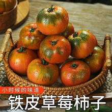 ���|��ݮ���ӷ����FƤ���ӾG���������|�����t����Ȼ��