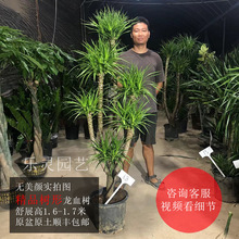 �Ϙ���Ѫ����횘����^���^���^����֦�҃ȴ��ߴ���;Gֲ����