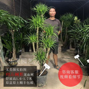 �Ϙ���Ѫ����횘����^���^���^����֦�҃ȴ��ߴ���;Gֲ����