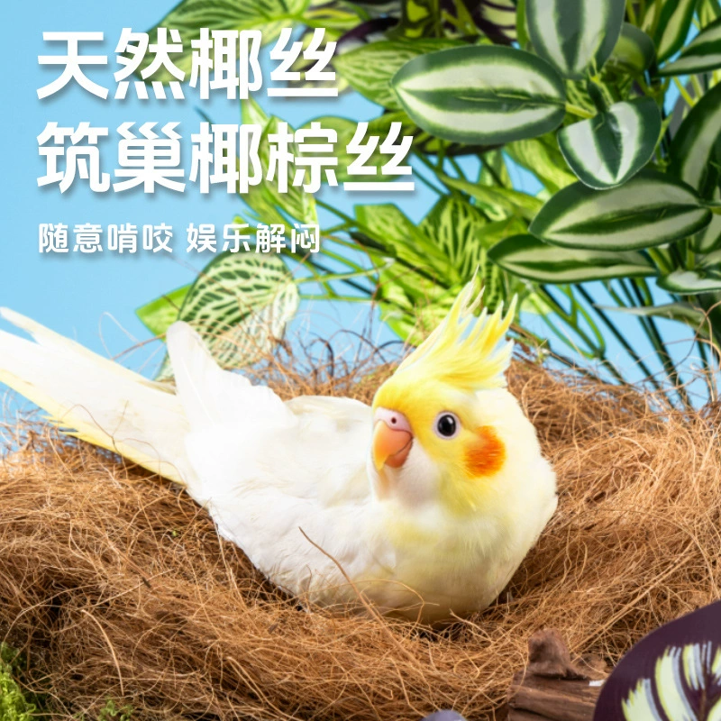 Домашняя одежда для гнезда кокосового ореха