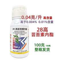 28��̦ܿ�؃��� ֲ�����L�{���� ̦ܿ�؃�֬28�� 28��̦ܿ�؃�֬