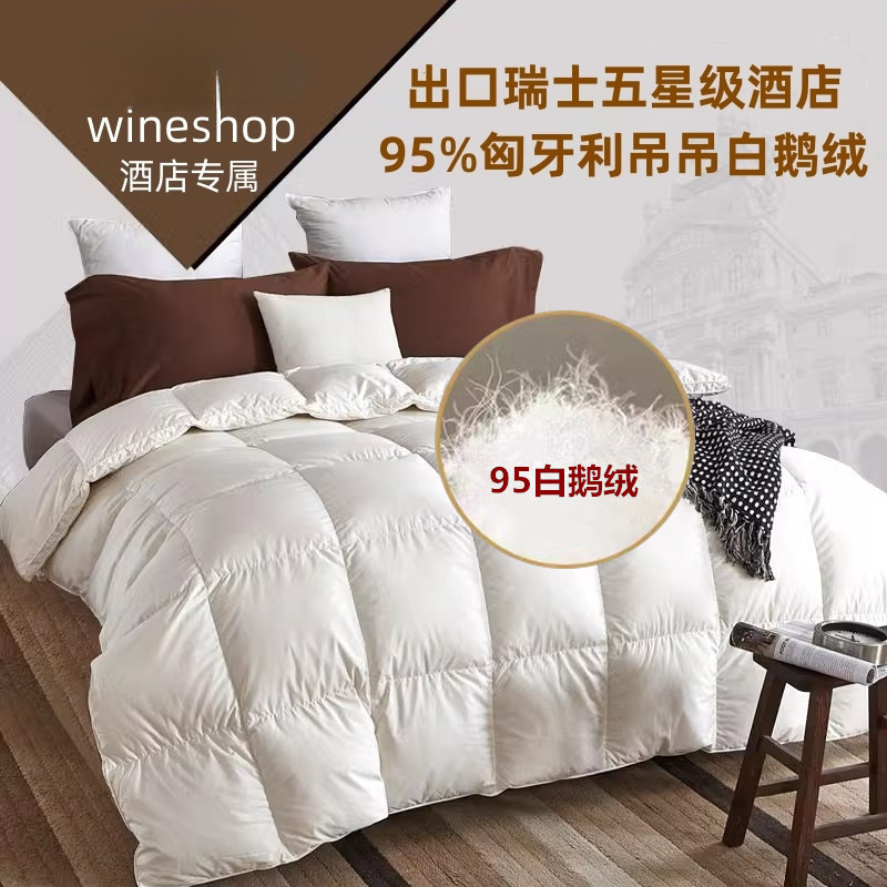 Export Five-Star Hotel down Quilt 95 White Goose down Quilt Winter Quilt Core Thickeneded Warm Spring & Fall Quilt Double