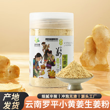 云南罗平小黄姜纯姜粉产地工厂直供无添加纯姜研磨超细200克瓶装