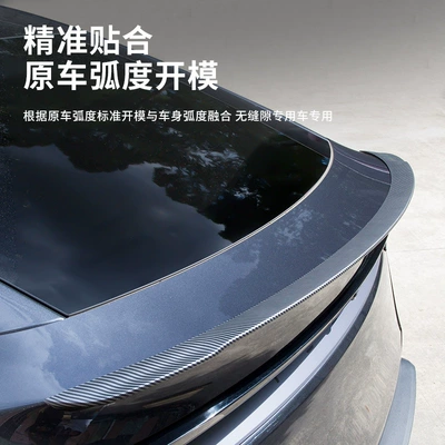 New Version Model Y P-Version — Fixed wind wing