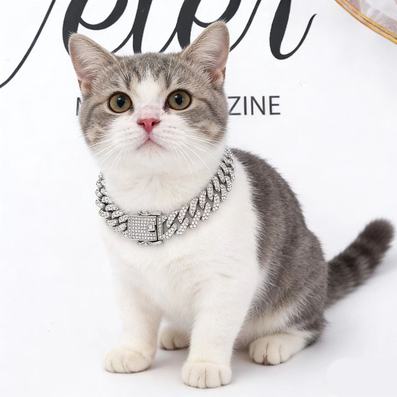 Europa y los Estados Unidos Hip-Hop accesorios cadena de diamantes cubana moda accesorios de mascotas universales al por mayor Amazon exclusiva