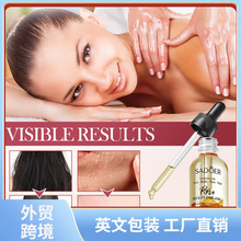 ȫӢ��SADOERõ��ɻ���Ч��Ħ�� �̝����w���w���Ϳ羳���Q���l