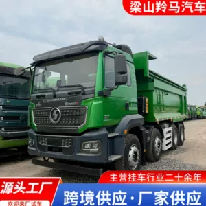 Cross-border medium-duty specialized work truck, Shaanxi Auto DeLong M3000S, front four-wheel drive, rear eight-wheel drive, dump truck for engineering projects