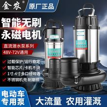 直流潜水泵48V60V家用电瓶电动车抽水泵农用小型不锈钢高扬程抽水