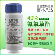 40%ְ_ˮ݄ ǧӰ޲ݵȺ̱s100