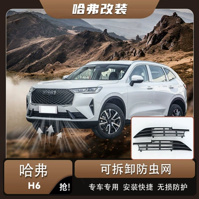 Suitable for 24 models of Great Wall Haval H6, snap-on anti-insect net, radiator dust-proof net, front face protection, modified decorative accessories (Automobile anti-insect net)