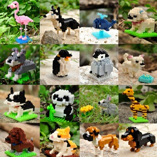 ����A-D����eľ�����؈�W�^�L�i¹���F�eȮ�D�c��animal blocks