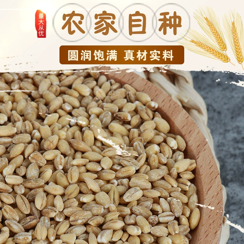 Производители производят зерновые и очищенные ячмень