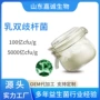 活性乳乳酸菌双歧杆菌