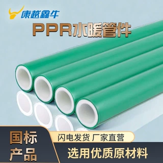 PPR冷热水管 ppr热熔管 管件PPR水管配件  ppr水管 PPR管件 PPR管