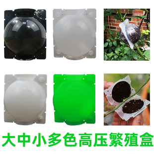 Cross-border Plant Rooting Device propagation box Plant Rooting Device Plant cutting grafting propagation ball Plant