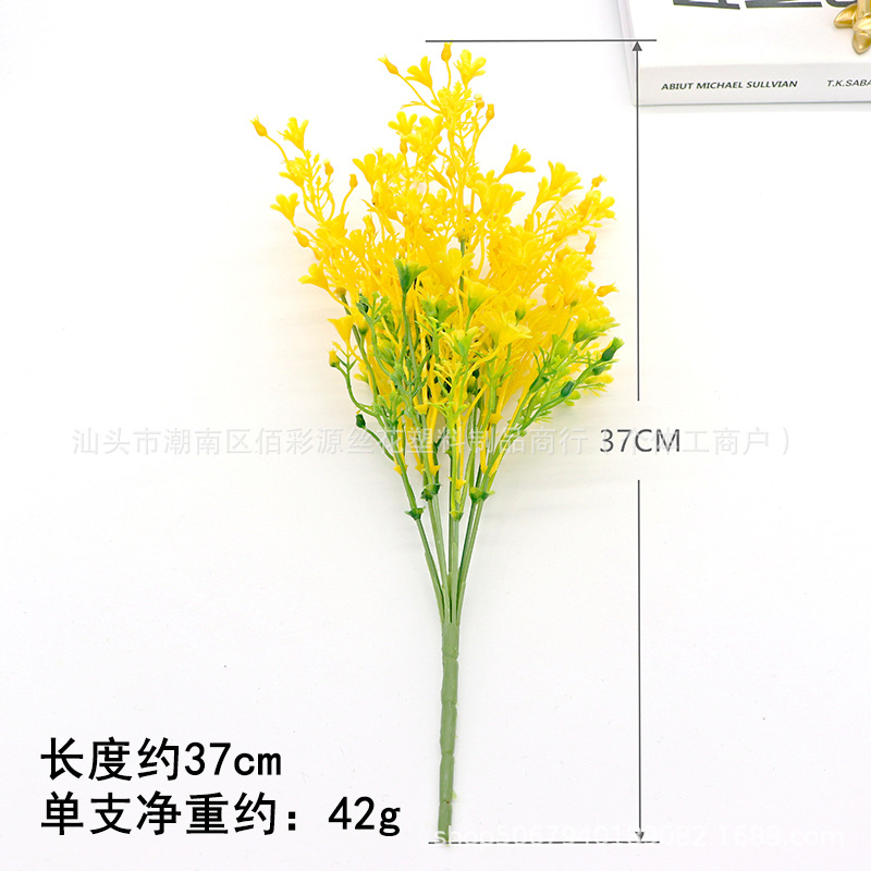 7 forks of rapeseed flowers