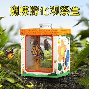 ��ͯ����Ӽ�����^��� �ƌW�^�����O�ɵ�С�����^��� �W������B