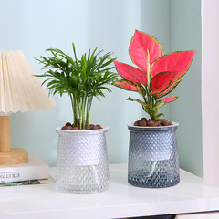 ネットの赤い星の自動吸水の植木鉢の卸売りの北欧風の客間は水をやりません。