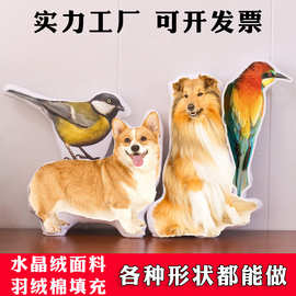 卡通动物异形抱枕定制logo印图片靠垫丑猫订做批发包邮跨境亚马逊