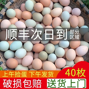 �������u���r��ɢ�B���r���r�����B��Ȼ40ö���u�����u�����G����