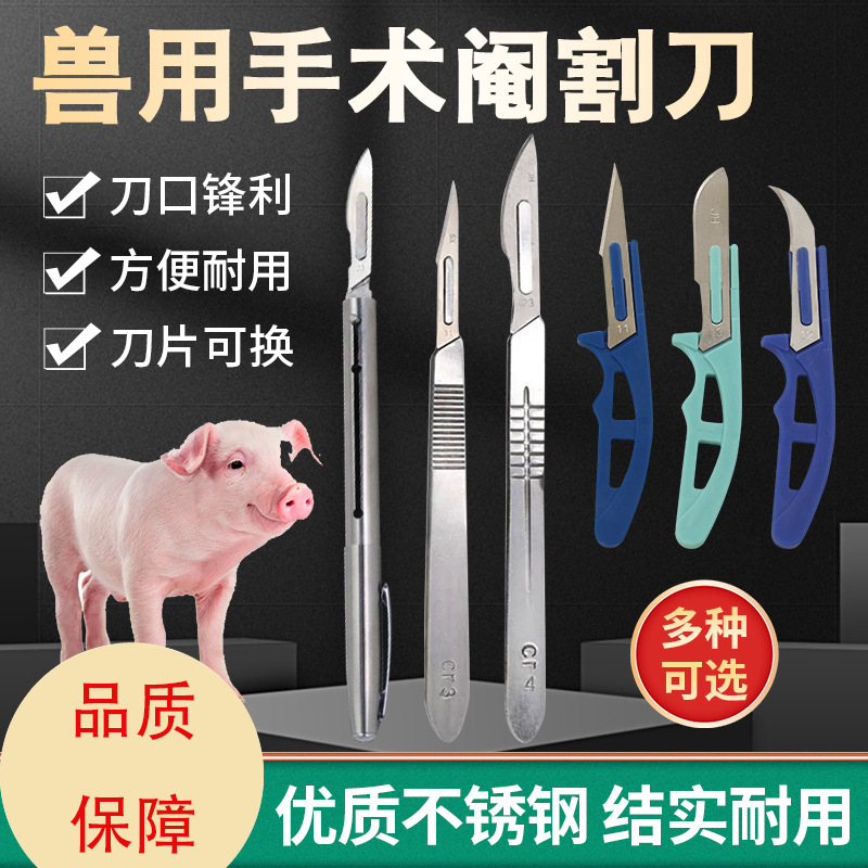Cuchillo de castración veterinaria cuchillo pequeño cuchillo de castración cerdo cuchillo de castración mini cuchillo de castración mini cuchillo de castración cerdo