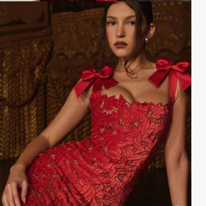 2025 Spring/Summer Cross-Border European and American Light Luxury Bowknot High-End Embroidered Hollow Out Bodycon Long Dress Lx0119 Vacation Style