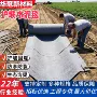 山体固化边坡防护毯