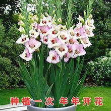 фmNԻֲ҃ȾGֲB_LͥԺNֲ