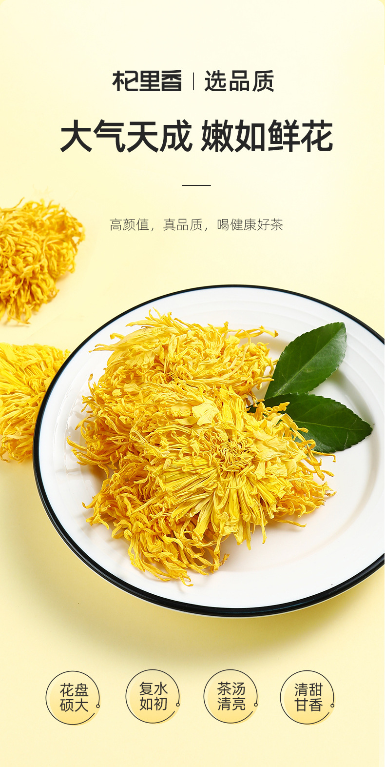 Golden Silk Imperial Chrysanthemum Tea Dried Flower Buds One Bloom Per Cup Sweet Floral Herbal Tea 20g Jar quality and texture