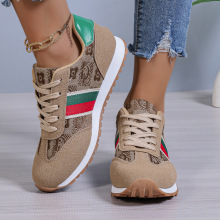 2024¿WaQŮЬ׈A^ɫǰϵerІЬŮ