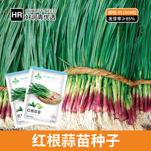 Դ�^�S�����l�t������N�ӼtƤ���[�N���ļ����~�����߲˲˷N����