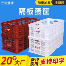 �u�����������D�� �����u���� ���Ͽ��L���μӺ��̖���Ͽ𵰿���