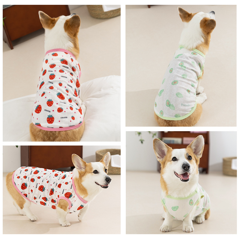 Estilo de primavera y verano perro fresa fruta Corgi chaleco pequeño perro salchicha de dos patas ropa delgada para perros