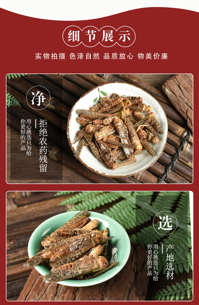 Dried Locust (Locusta migratoria) — Edible Farm-Raised Grasshopper, 500g Bulk Food Ingredient quality and texture